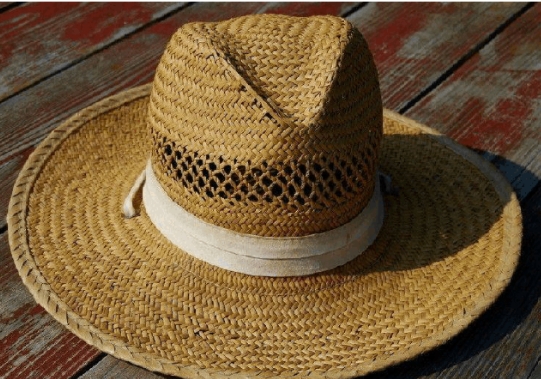 28 Сырье для изготовления соломенных шляпок-окончательный список
